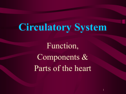 day 5 intro to circulation