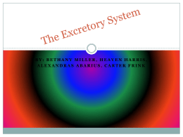 The Excretory System - Bingham-5th-2014