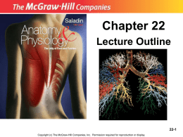 chapt22studentnotes - Human Anatomy and Physiology