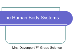 The Human Body System - Science with Mrs. Davenport