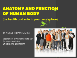 ANATOMY AND FUNCTION OF HUMAN BODY