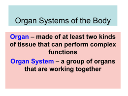 Chapter 3 Organ Systems of the Body