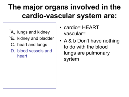 The major organs involved in the cardio