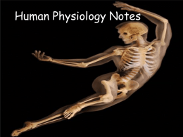 Human Physiology Notes