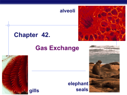 ch_42 gas exchange - Valhalla High School