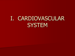 i. cardiovascular system
