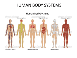 human body systems - Riverdale Middle School