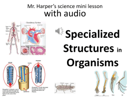 Specialized Structures in Organisms
