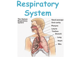 Respiratory System - Elmwood Park Memorial High School