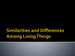 Similarities and Differences in Living Things