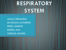 respiratory system - IHMC Public Cmaps
