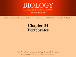 Chapter 34 Vertebrates