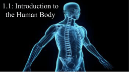 Human Body Student In Class Notes With Blanks Widescreen 2017