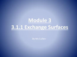 module 3 3.1.1 exchange surfacesx