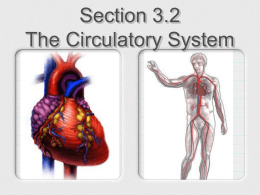Section 3.2 The Circulatory System