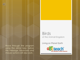 Presentation with Audio: Animal Kingdom: Birds