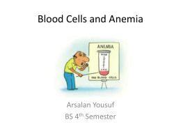 Blood Cells and Anemia