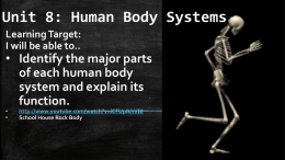 Human Body Systems (3) 2015x