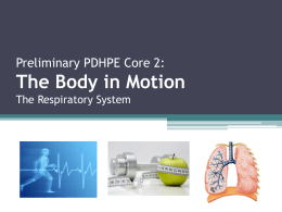Preliminary PDHPE Core 2: The Body in Motion The Respiratory