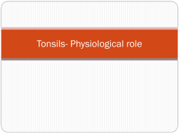 tonsil histology part