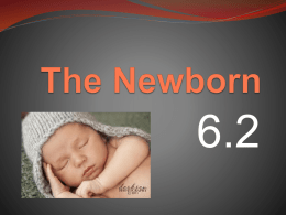 The Newborn - mcparenthood