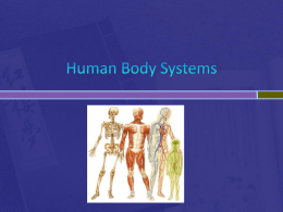 Human Body Systems PowerPoint