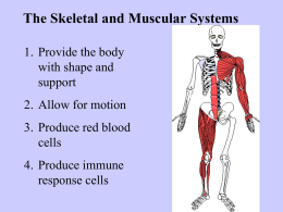 Human Body Systems Tour