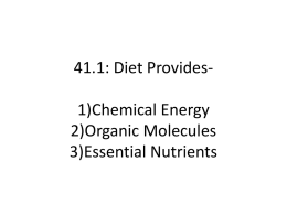 41.1: Diet Provides- 1)Chemical Energy 2)Organic Molecules 3