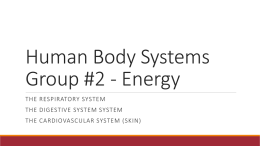Human Body Systems Group #1