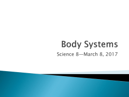 Body Systemsx