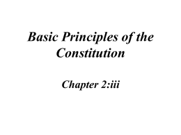 Reasons for the success of the Constitution