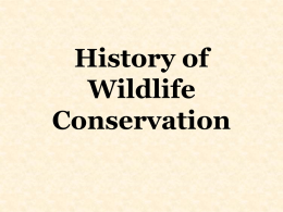 History of Wildlife Conservation