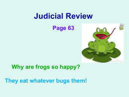 Judicial Review ppt