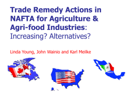 Trade Remedy Actions Within NAFTA: Increasing? Alternatives?