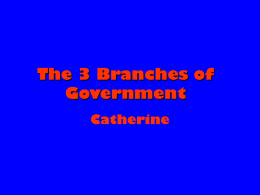 The 3 Branches of Government - MBE-History