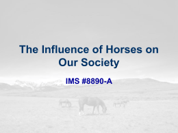 The Influence of Horses on Our Society IMS #8890