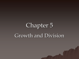 Growth and Division