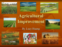 Agricultural Improvement Lucy Huang