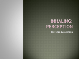 Inhaling Perception