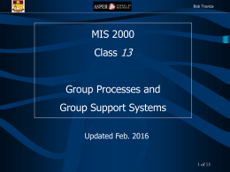 Group Support Systems