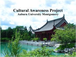 Culture_Awareness_Project_Group_1