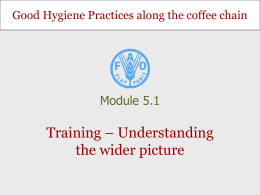Training - Understanding the Wider Picture []