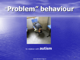 What is problem behavior?