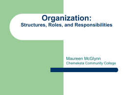 Organization: Structures, roles, and responsibilities
