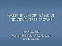 FOREST INVENTORY BASED ON INDIVIDUAL TREE CROWNS