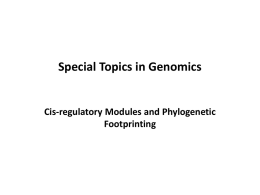Special Topics in Genomics Motif Discovery