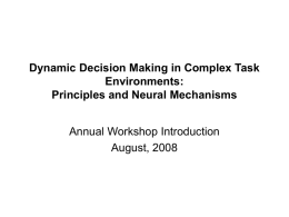 Dynamic Decision Making in Complex Task Environments