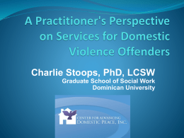 A Practitioner's Perspective on Services for Domestic