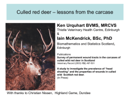 “Survey of permanent wound tracts in the carcases of culled wild