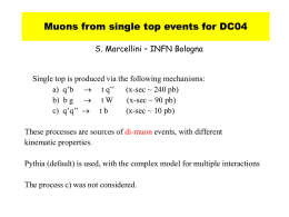 Muons from single top events for DC04